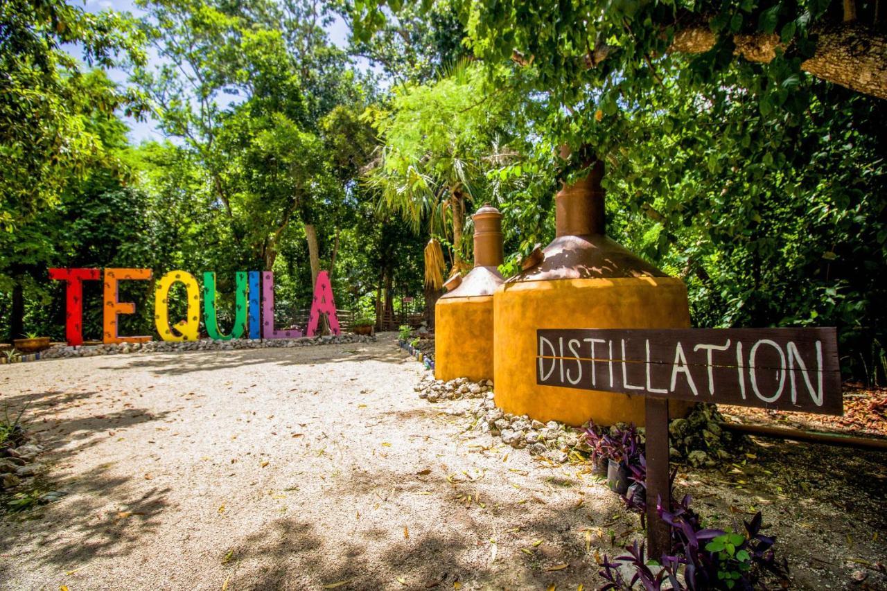 Hotel Tequila Cancún Exterior foto